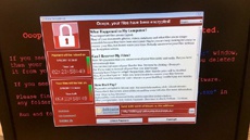 Со счетов авторов вируса WannaCry пропали все деньги