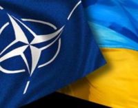Блокирование Венгрией евроинтеграции Украины опротестовали 11 стран-членов НАТО