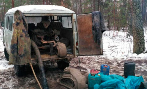 На Житомирщине пресекли несколько попыток добычи янтаря