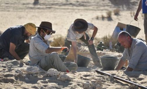 Датировка сдвигается. В Саудовской Аравии нашли останки человека возрастом 95−86 тысяч лет