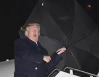 "В самолете дождя нет": Соцсети обсуждают странную выходку Трампа с зонтом при входе в самолет