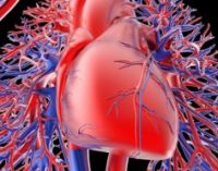 Алгоритмы предскажут летальный исход после сердечного приступа с точностью 85%