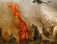 В Новой Зеландии бушует сильнейший лесной пожар