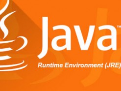 Runtime environment. Джава выход из кола.