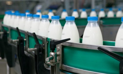 В прошлом году в Украине произвели более 10 млн тонн молока