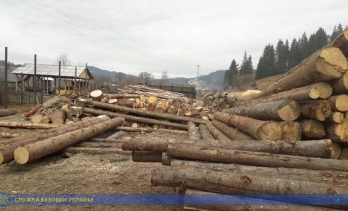 СБУ предупредила экспорт незаконно срубленного леса на миллионы гривен