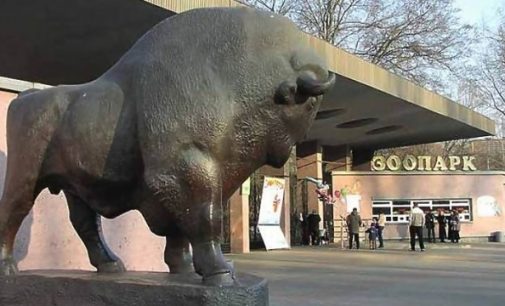 В 2020 году пройдет реконструкциия Киевского зоопарка