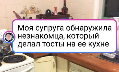 19 мохнатых хулиганов, которые творят все что их душеньке угодно / AdMe