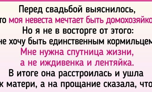 15+ фото и историй, которые подтверждают, что лень не порок, а образ жизни / AdMe