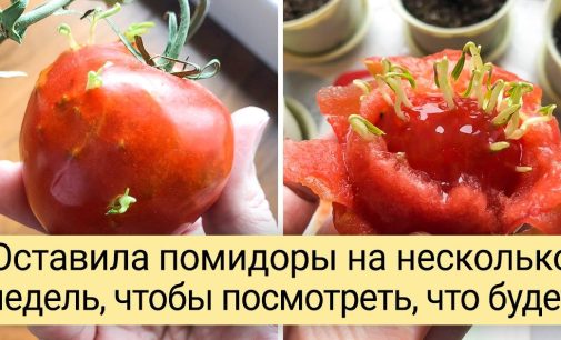 15+ человек, которые сделали занятное открытие и поспешили поделиться им со всем интернетом