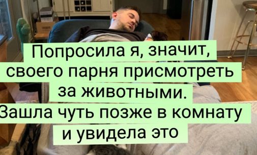 «А брата у него случайно нет свободного?» / AdMe