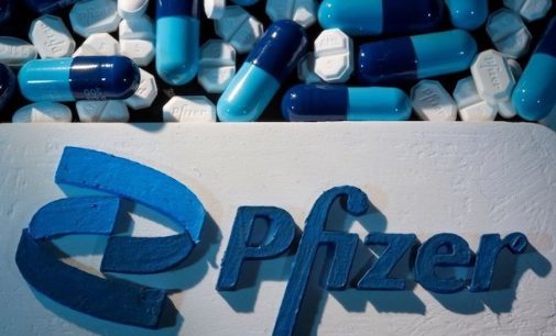 Штаты одобрили таблетки Pfizer для лечения COVID-19