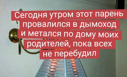 19 везунчиков, которые жили себе спокойно, пока к ним в гости не постучалась дикая животинка