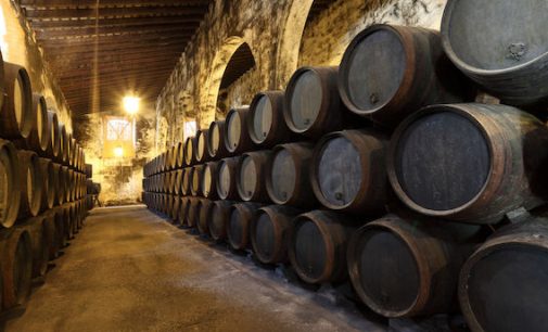 Винороби Бордо будуть змушені вилити надлишки вина через зниження попиту