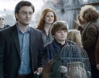 Warner Brothers розпочала розробку фільму «Гаррі Поттер і прокляте дитя»