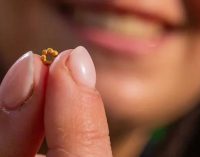 1600-річну намистину з чистого золота виявлено на археологічних розкопках у Єрусалимі