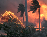 Кількість жертв унаслідок лісових пожеж на Гаваях зросла до 53
