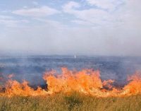У захопленому заповіднику «Асканія Нова» виникла пожежа — палає близько 7 тисяч гектарів